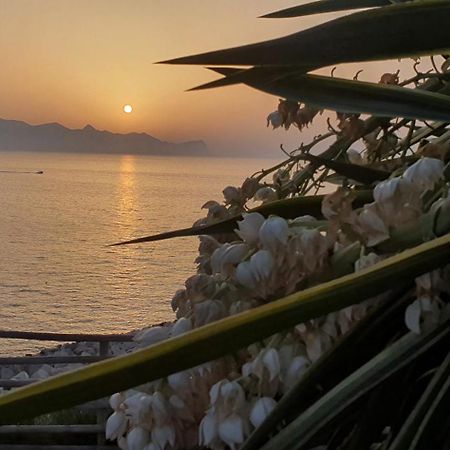 Loft In Balestrate Vicino Al Mare - Rental Beb Экстерьер фото