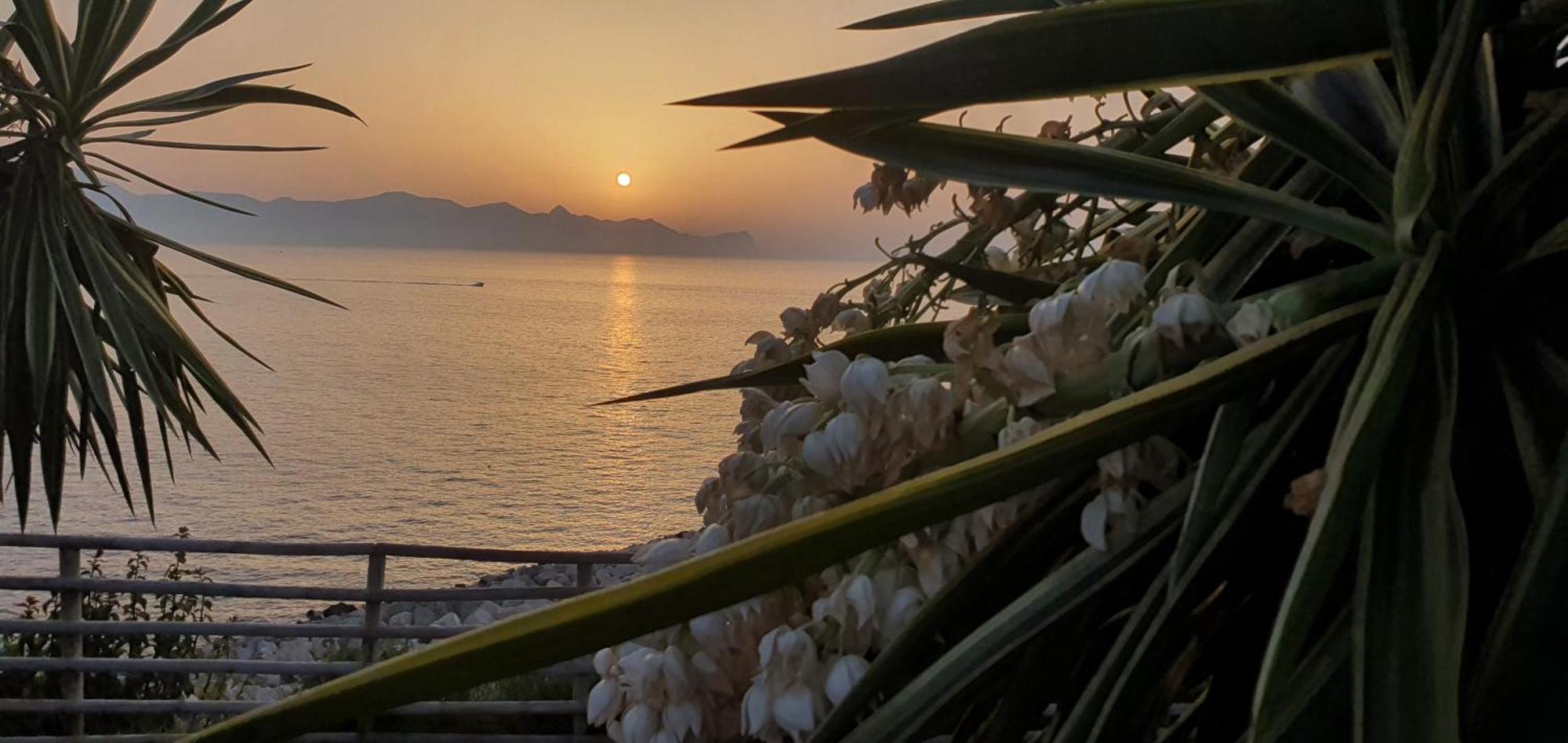 Loft In Balestrate Vicino Al Mare - Rental Beb Экстерьер фото
